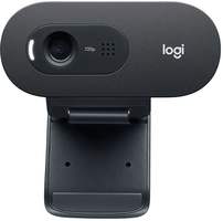 Web-камера LOGITECH C505,  черный [960-001364]